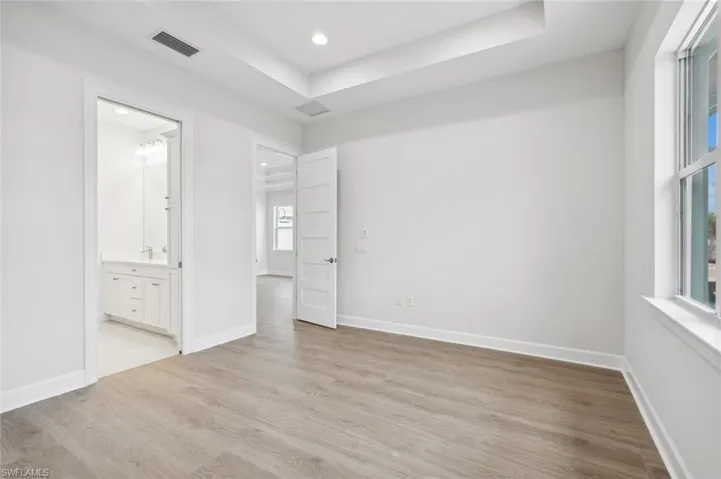Empty room featuring sink, a raised ceiling, and light hardwood / wood-style flooring