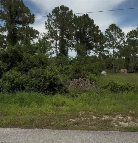 2018 Leroy Ave, Alva, Florida 33920