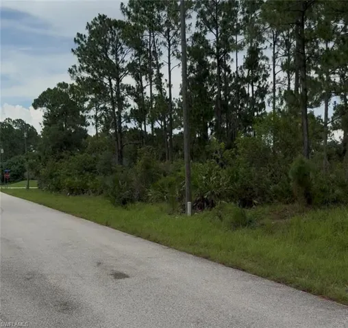 Expansive treed lot featuring mature pine trees and natural foliage