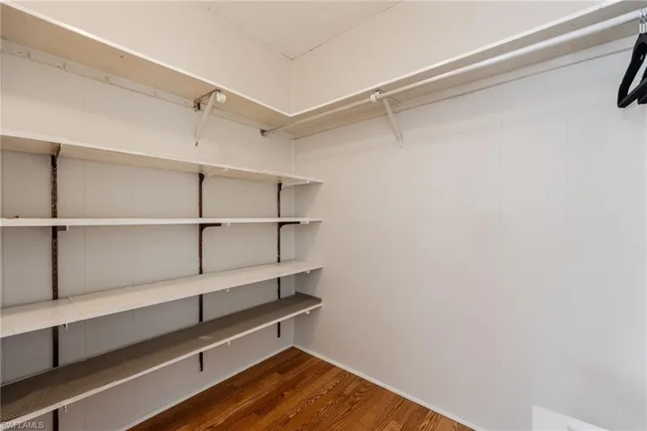 Spacious closet with dark wood-type flooring