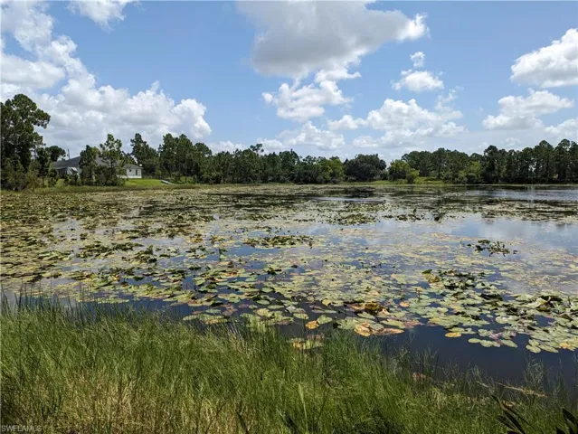 Water view