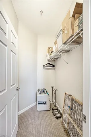 Spacious closet with carpet