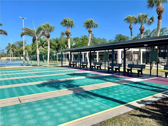 Shuffleboard