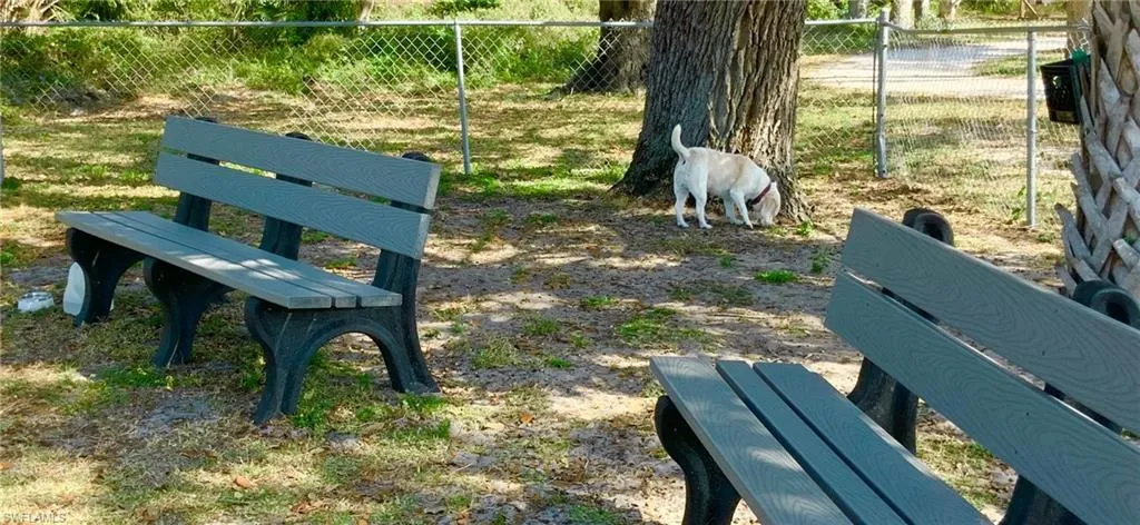 Fenced, "off-leash" dog park.