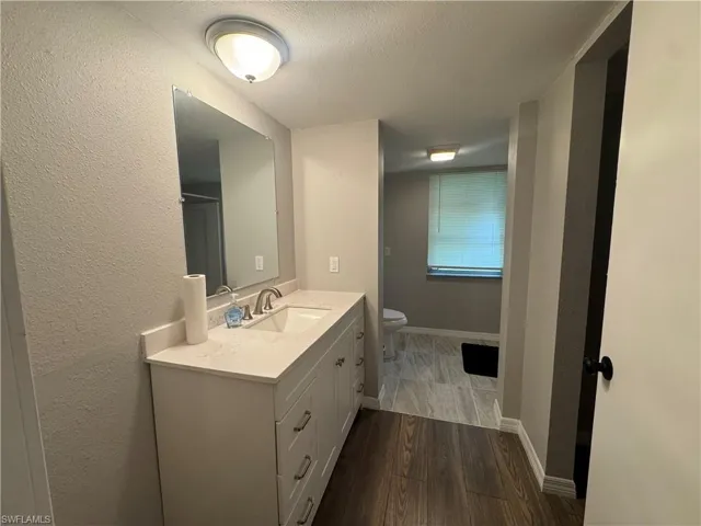 Bathroom featuring vanity, dark wood-type flooring, a textured wall, and a textured ceiling