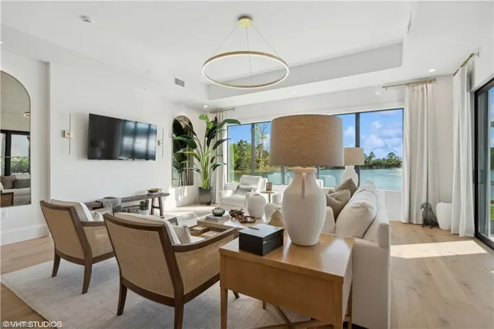 Living room with a raised ceiling, a healthy amount of sunlight, and light wood-type flooring