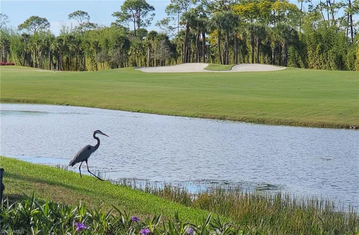 Water view with a local golf course and a tree filled landscape