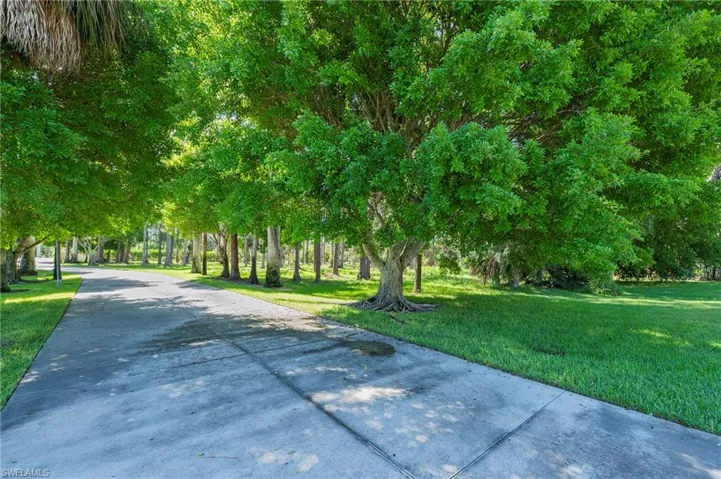 View of concrete driveway adorned with Asian Banyan Canopy Trees
