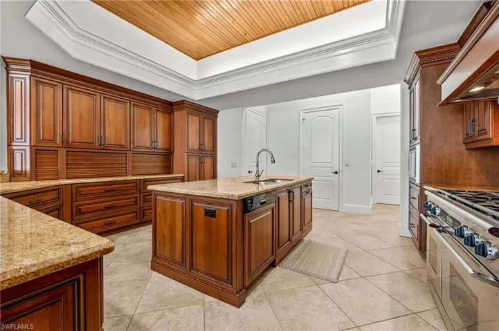 Chef's Kitchen top of the line stainless steel, custom exhaust hood, and center