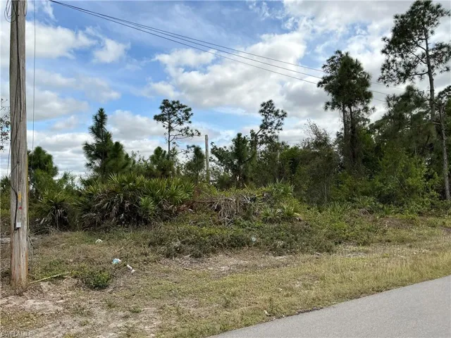 1029  Naples S AVE, Lehigh Acres, FL 33974