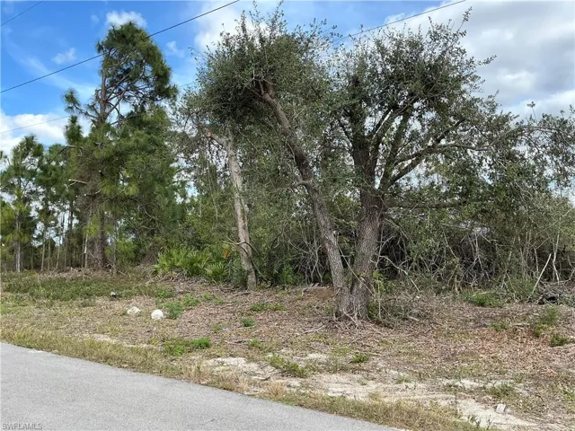 1029  Naples S AVE, Lehigh Acres, FL 33974