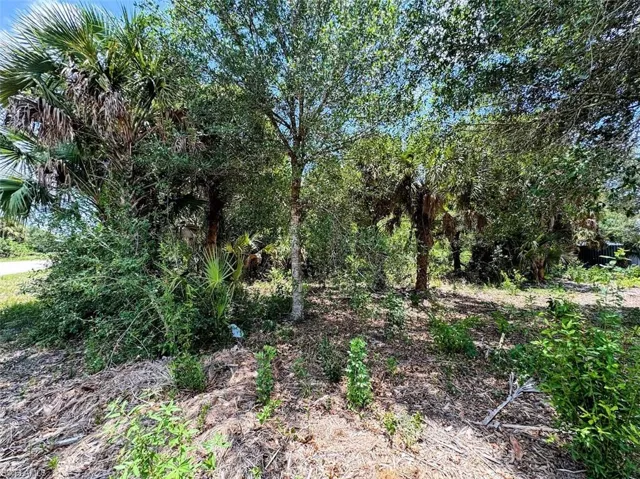 1178 Northside Rd, Moore Haven, Florida 33471