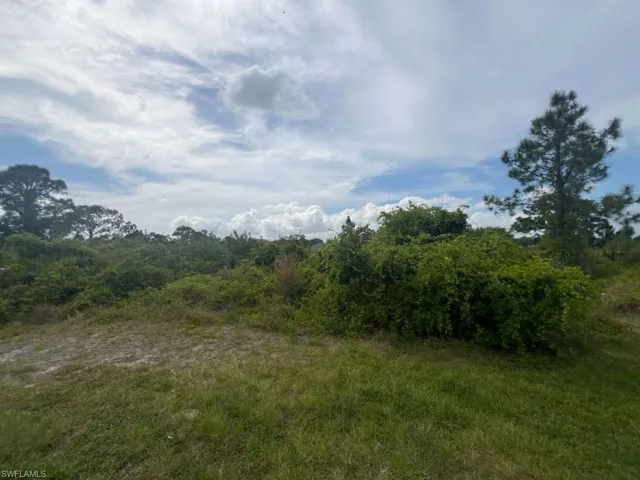4607 June AVE N, LEHIGH ACRES FL 33971