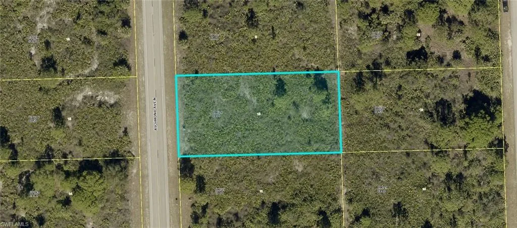 Survey Map. Overhead view highlighting the property boundaries