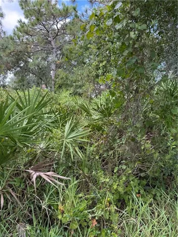 524 Koala Dr, Poinciana Place, Florida 34759