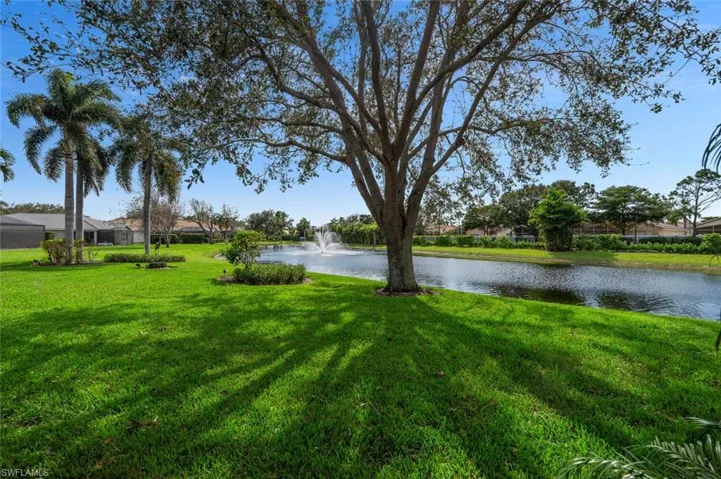 Water view