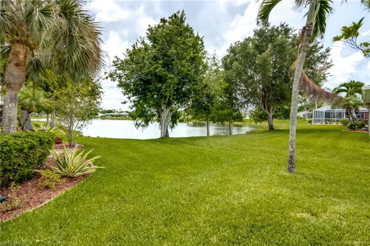 Water View