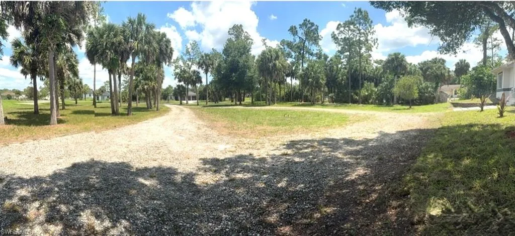 Front yard view