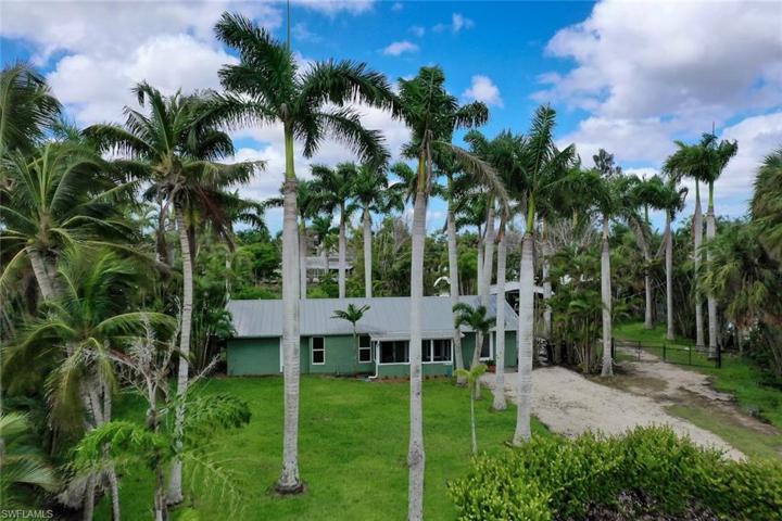Front Exterior and Royal Palms
