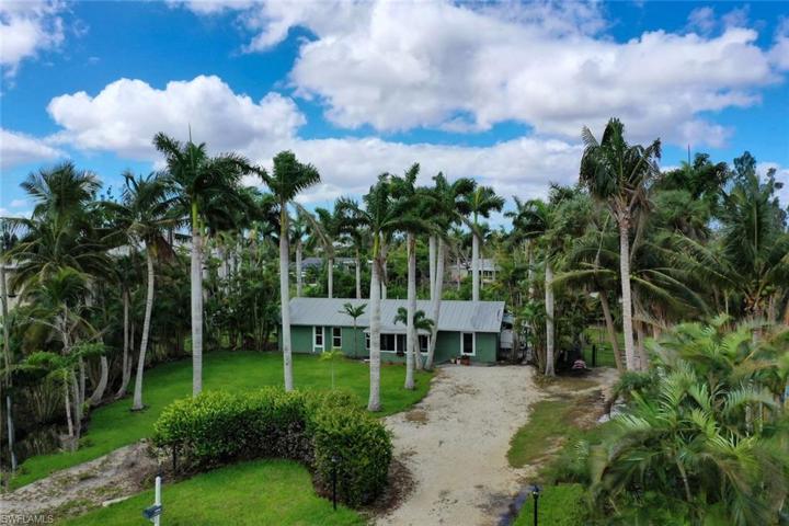 Beautiful Royal Palms