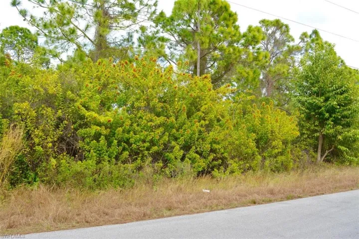 713 Colyer St E, Lehigh Acres, Florida 33974