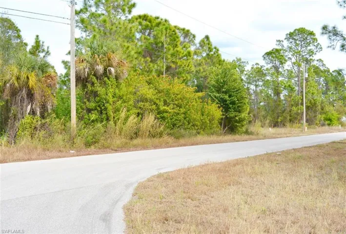 713 Colyer St E, Lehigh Acres, Florida 33974