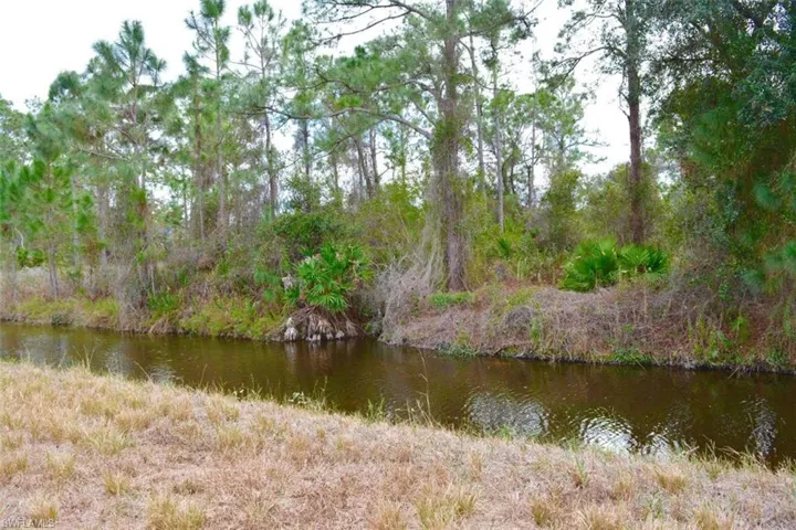 713 Colyer St E, Lehigh Acres, Florida 33974