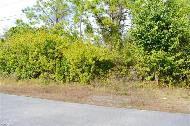713 Colyer St E, Lehigh Acres, Florida 33974