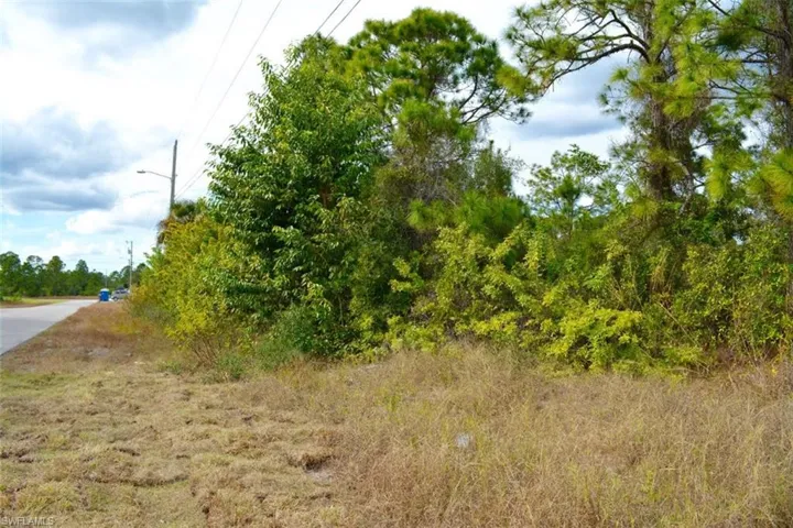713 Colyer St E, Lehigh Acres, Florida 33974