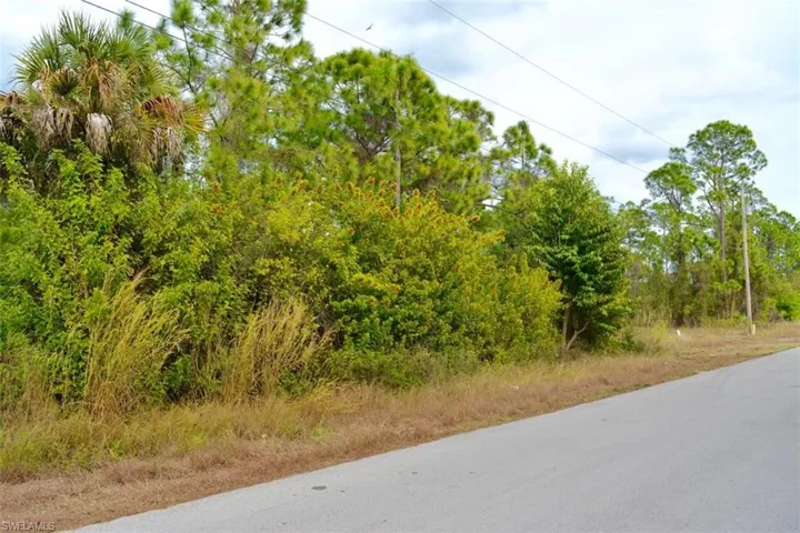 713 Colyer St E, Lehigh Acres, Florida 33974