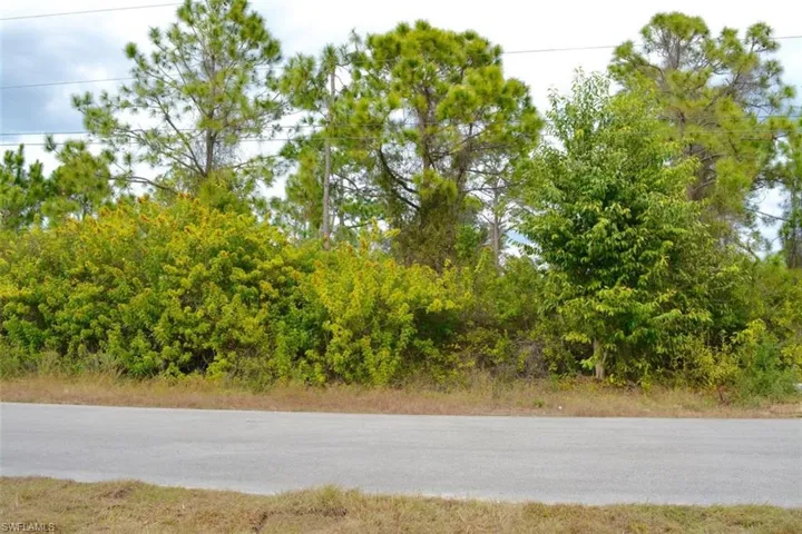713 Colyer St E, Lehigh Acres, Florida 33974