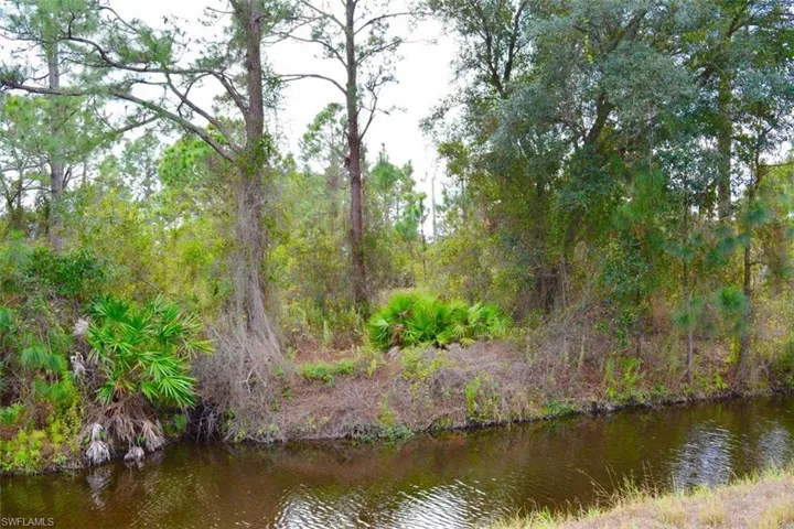 713 Colyer St E, Lehigh Acres, Florida 33974