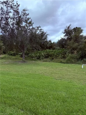 Expansive parcel of land featuring open green space, mature trees, and dense foliage