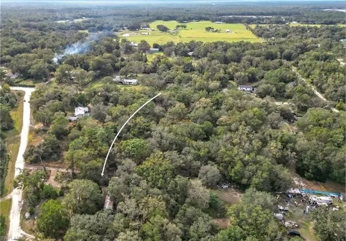 Expansive land parcel featuring dense mature trees and significant natural vegetation