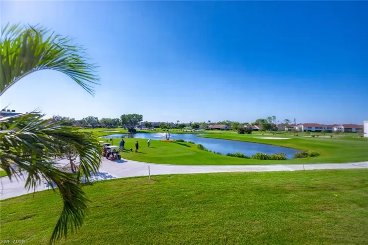 View out the back on Condo