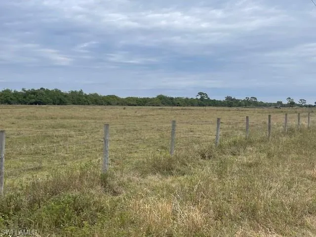 View of yard with a rural view