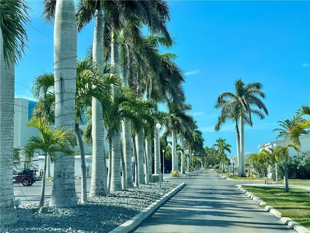Palms adorn the entrance