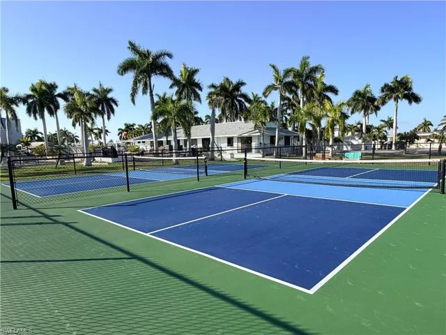 Pickleball anyone?
