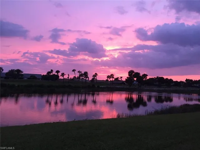 Every evening, a different show from your lanai!