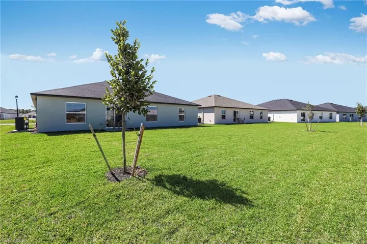 Expansive green lawn with a newly planted tree