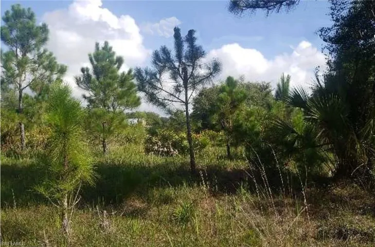 View of nature