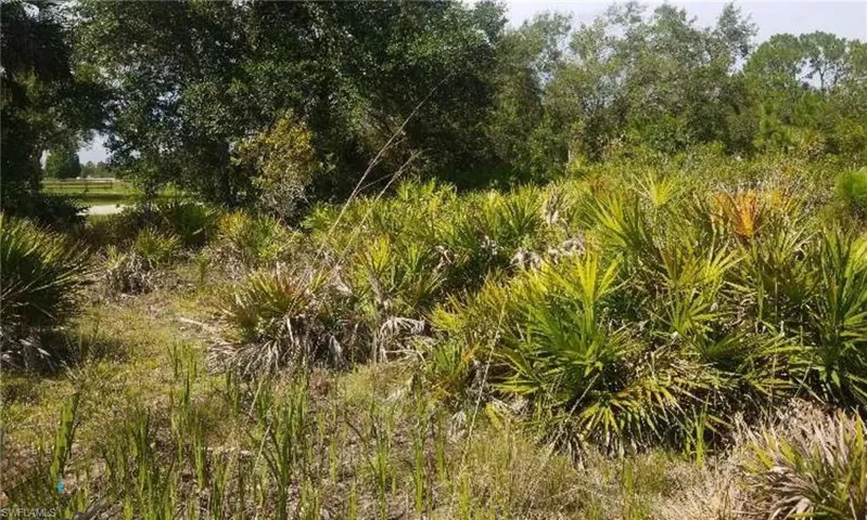 View of nature