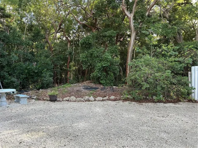 View of the back yard.