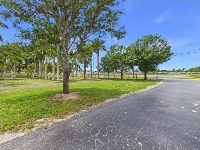 Expansive grassy area featuring mature trees and a row of palm trees