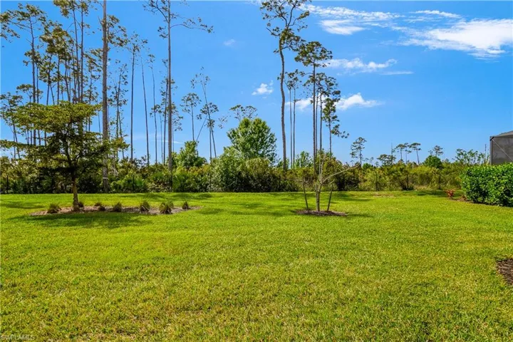 Large back yard with plenty of room for a pool!
