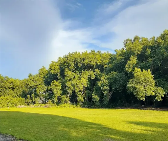 11170  Lager  LN, Naples, FL 34114
