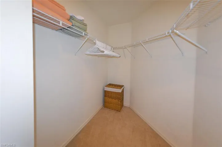 Spacious closet with light carpet