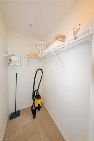 Walk in closet with light colored carpet