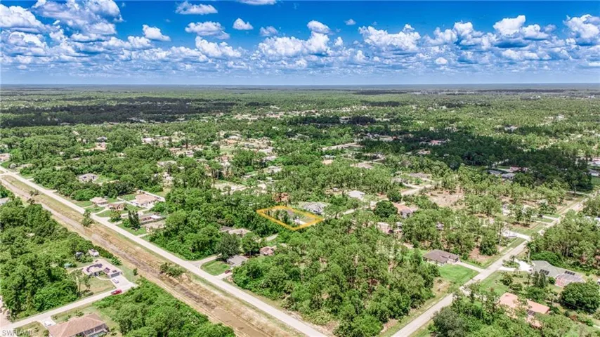 Drone / aerial view of a forest