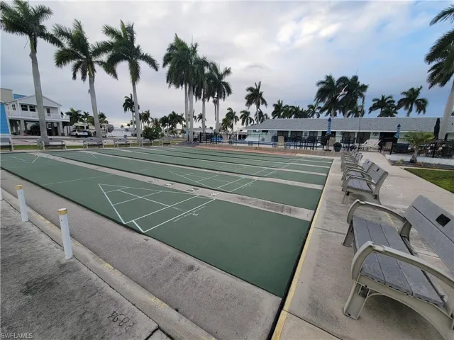 shuffleboard with palm trees